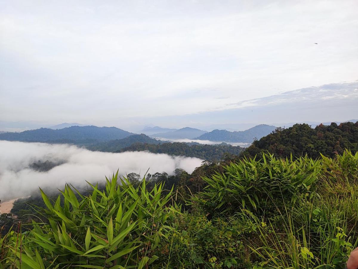 Tekoma Resort Taman Negara Kuala Tahan Εξωτερικό φωτογραφία