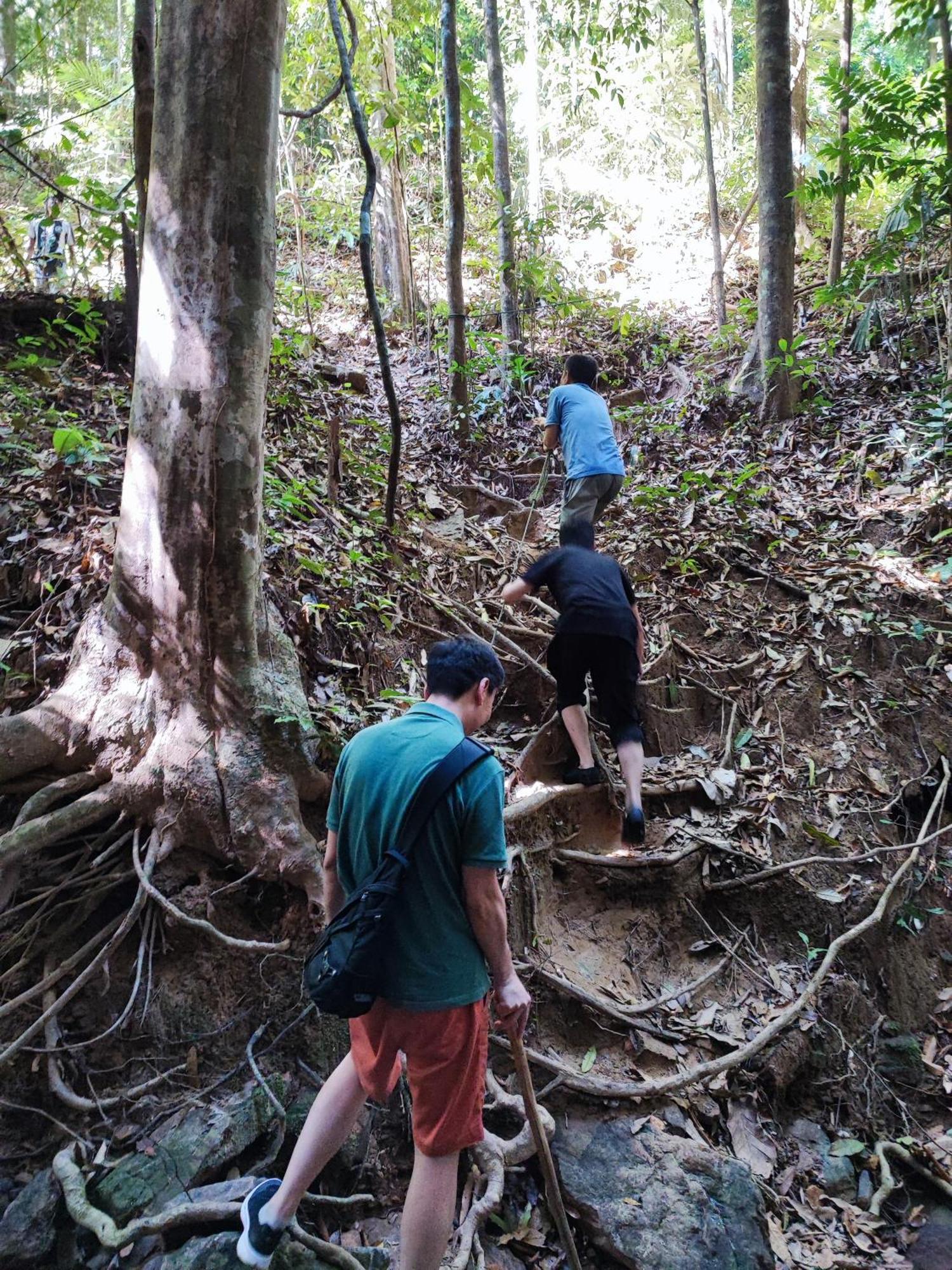 Tekoma Resort Taman Negara Kuala Tahan Εξωτερικό φωτογραφία